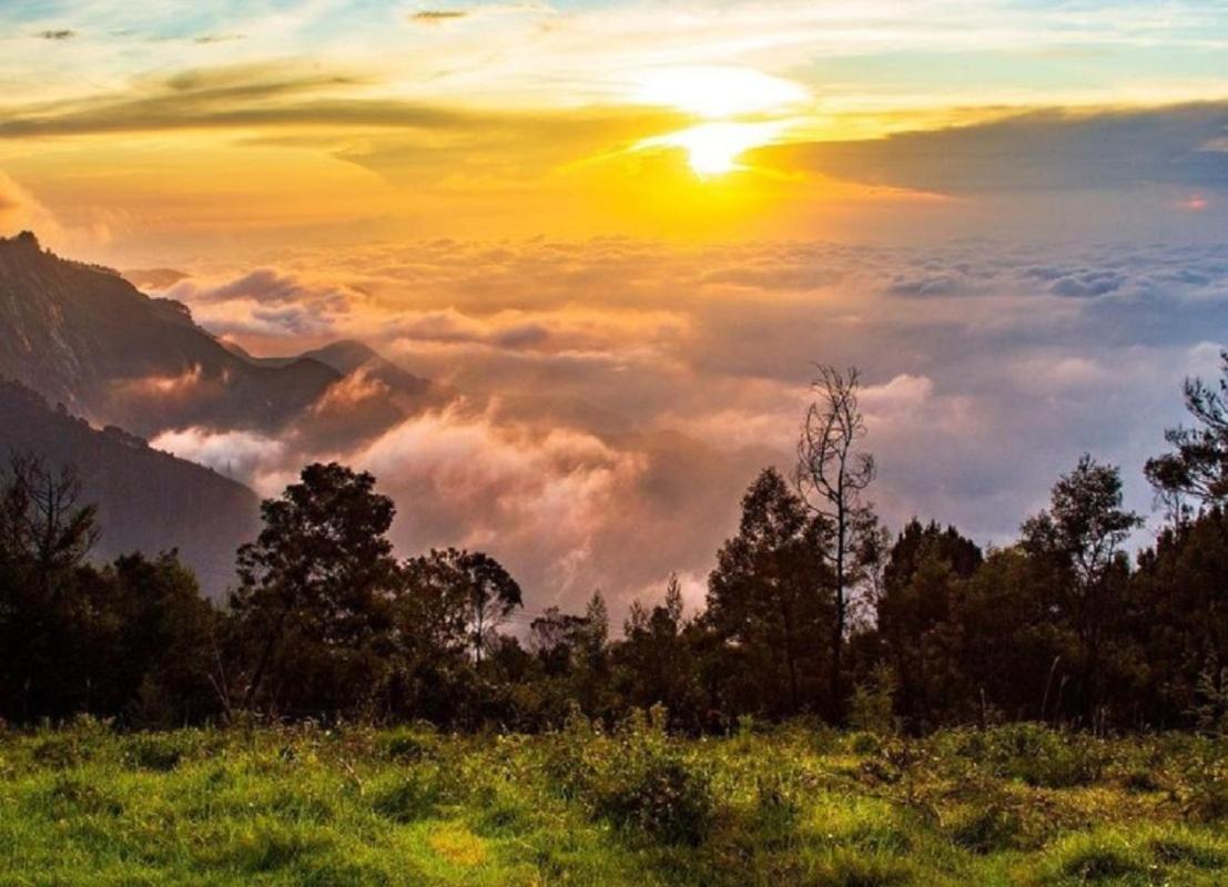 Bed and Breakfast Cloud Walk Kodaikanal Zewnętrze zdjęcie