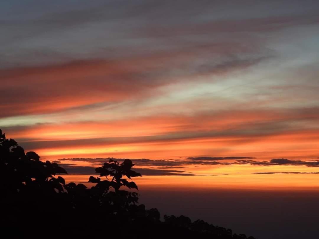 Bed and Breakfast Cloud Walk Kodaikanal Zewnętrze zdjęcie