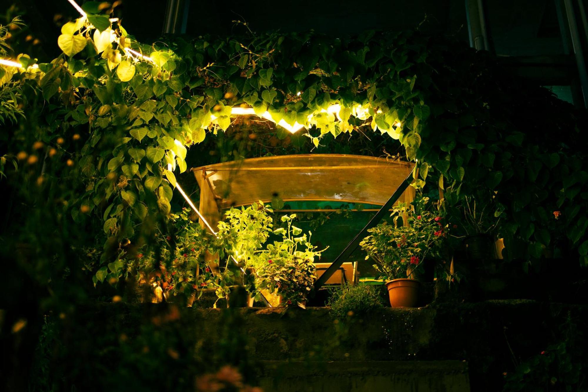 Bed and Breakfast Cloud Walk Kodaikanal Zewnętrze zdjęcie